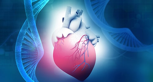 Illustration of a human heart with abstract DNA in the background